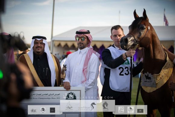 متباهي الهواجر (اف ايه الرشيم x زد تي مغرومي) مربط سما نجد- السعودية