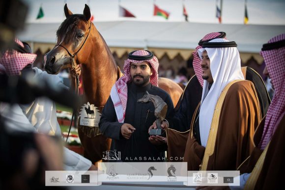 سي ام امادوس (تيتيان او اس x تي اف ستار اوف افريكا) مربط الوطن– السعودية.