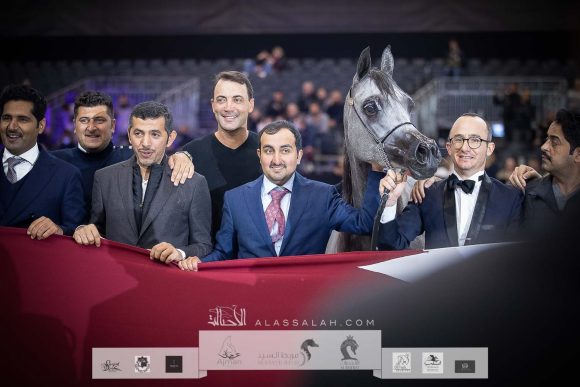 سوار الشقب (اس ام ايه ماجيك وان x ابها ميرا) مربط الشقب- قطر