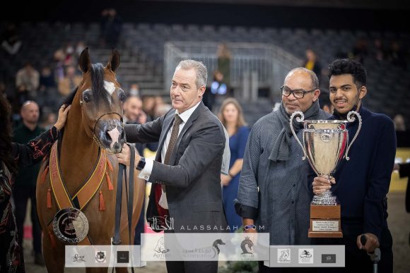 آر دي اس إسكويزت (اكسكاليبور إي ايه x انجليكا كي اس) مربط الأوراسية – البحرين.