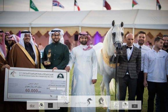 اليكساندر (اكسكاليبور اي ايه x ايه ار موست ايرسيستيبل) مربط السيد – السعودية