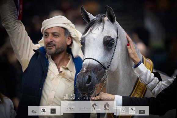 دي شرار (دي سراج x اف تي شيلا) مربط دبي – الإمارات.