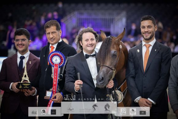 ليهون (اف ايه الرشيم x أراجيا فانيلا) مزرعة الجاسمية- قطر