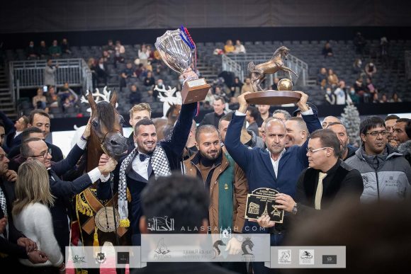 دي مزيان (اف ايه الرشيم x دي مازيا) مربط الشيخ