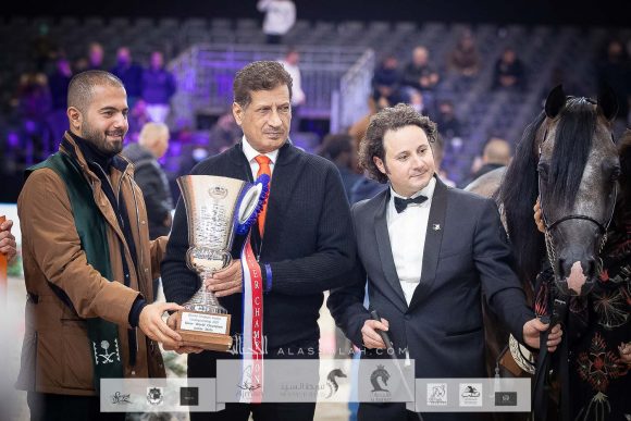 آر دي اس ارماني (اكسكاليبور ايه إي x ستيلريس بي بي ايه) مزرعة الجاسمية – قطر