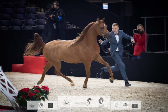 AU8I9526-Sponsers + Alassalah 2020-2