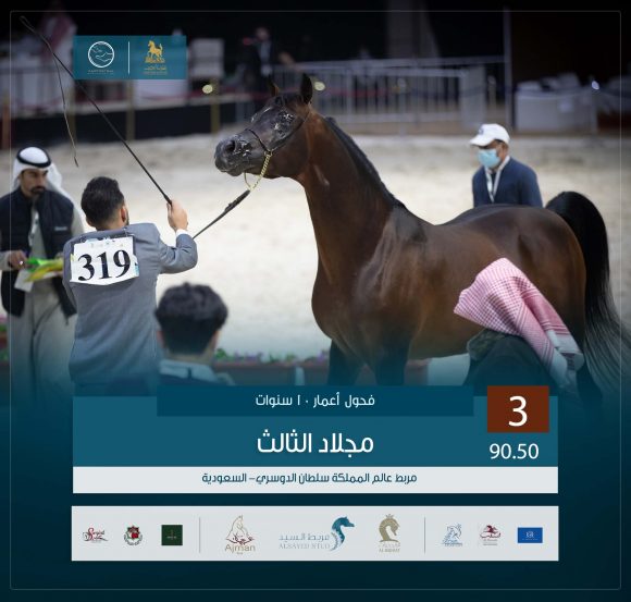 الثالث 3 copy 2