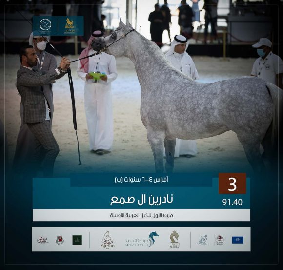 الثالث 3 copy-2