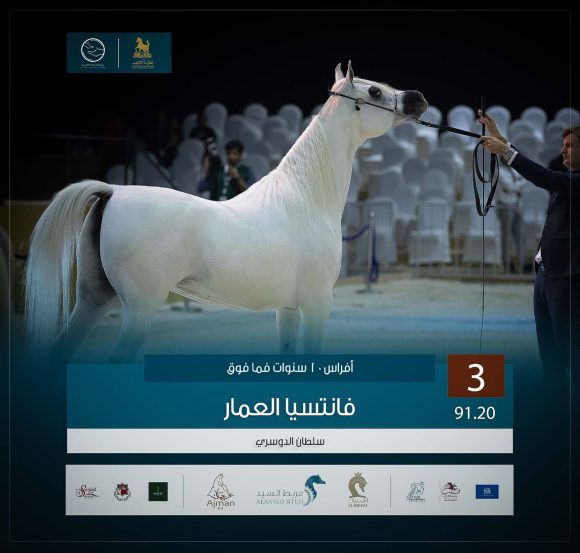 الثالث 3 copy-4