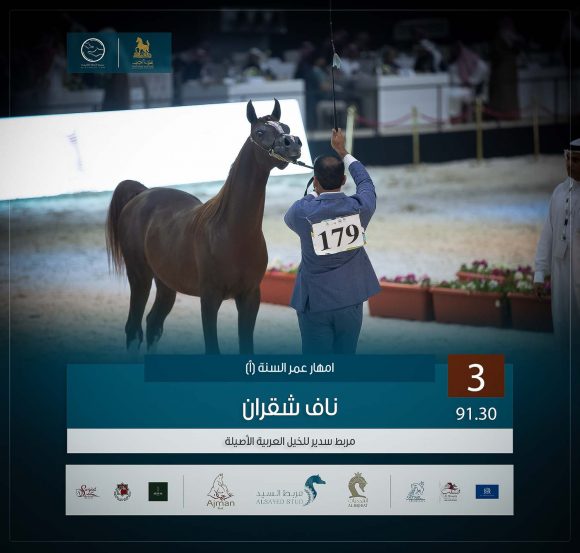 الثالث 3 copy-5