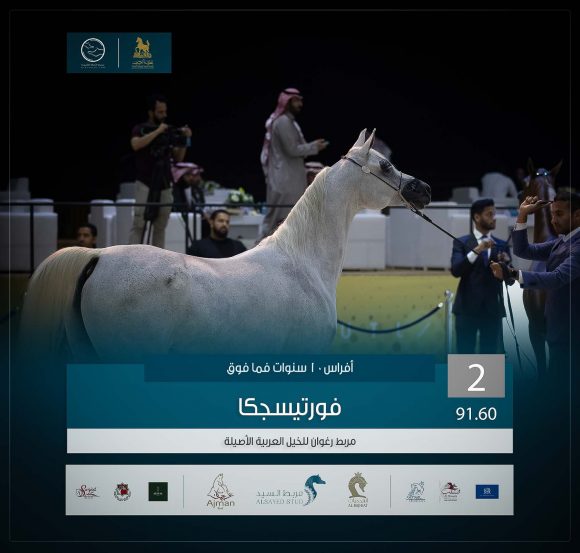 الثاني 2 copy-4