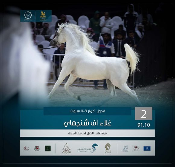 الثاني 2 copy-5