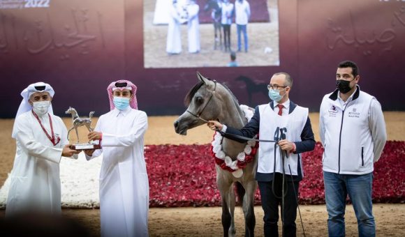 415e135d-04e7-4e10-b771-ad9539e12c85