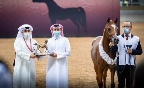 63f47964-8b04-4596-bec2-cc9ea0edc53a