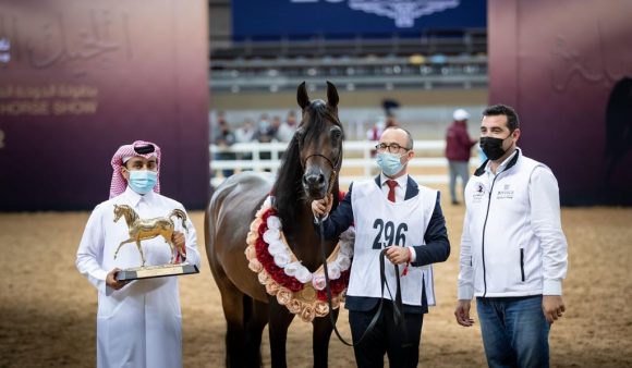 727796b4-871c-4564-ab12-db4418eb44bf