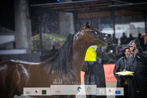 AU8I4000-Sponsers + Alassalah 2020-2