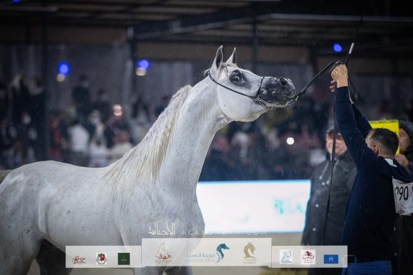 AU8I4031-Sponsers + Alassalah 2020-2