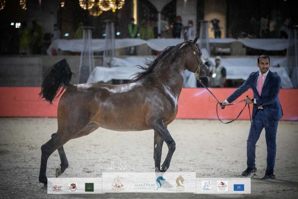 AU8I4140-Sponsers + Alassalah 2020-2