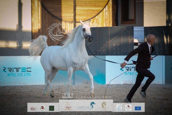 ال ايه ايرا دي اكسكالبير