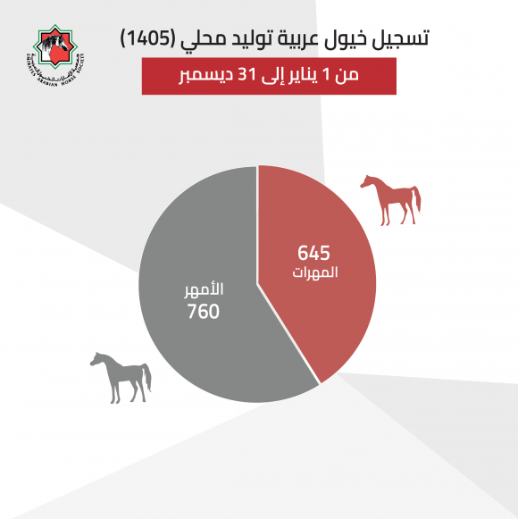 Screen Shot 2022-01-20 at 1.03.06 PM