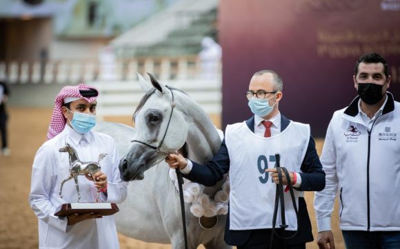 ca59dd08-c243-4972-a24b-d9c65f8bd6fe