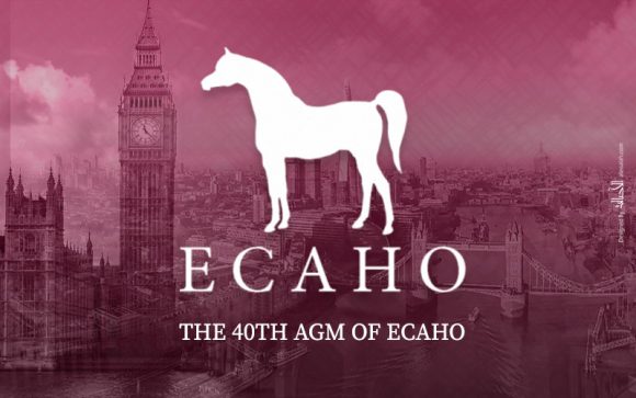 رسمياً: تم تحديث لوائح الكتاب الأزرق في «الإيكاهو» بالقرارات التي تم الإعلان عنها مؤخراً .. قائمة التعديلات الجديدة 