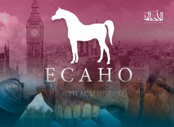 الايكاهو تصدر إرشادات بخصوص الإضافات الجديدة حول تطبيق ”تقدم الفك“ وفترة انتقالية لتطبيق القواعد .!