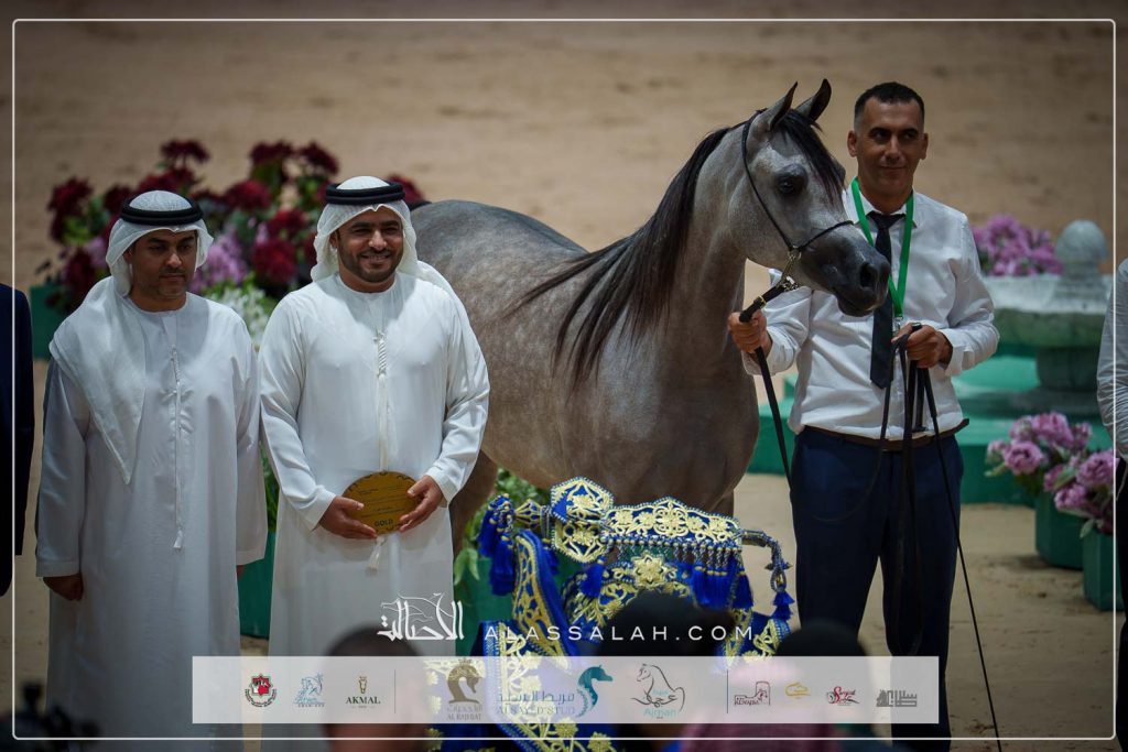 دي ضو ( دي سراج x دي فنانة) مربط دبي – الإمارات.