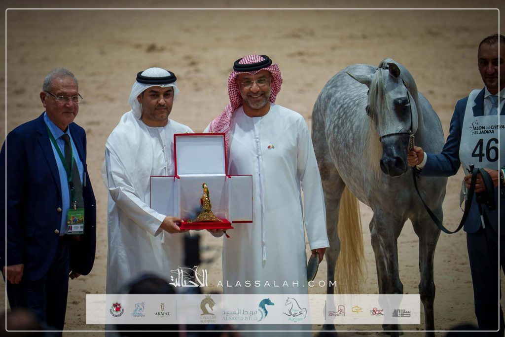 ع ج كرامة ( اليكساندر x اجا كابريس) مربط عجمان – الإمارات.