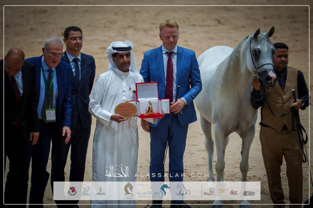 كوثر السيد ( اليكساندر x كحيلة السيد) مربط ليوا- الإمارات.