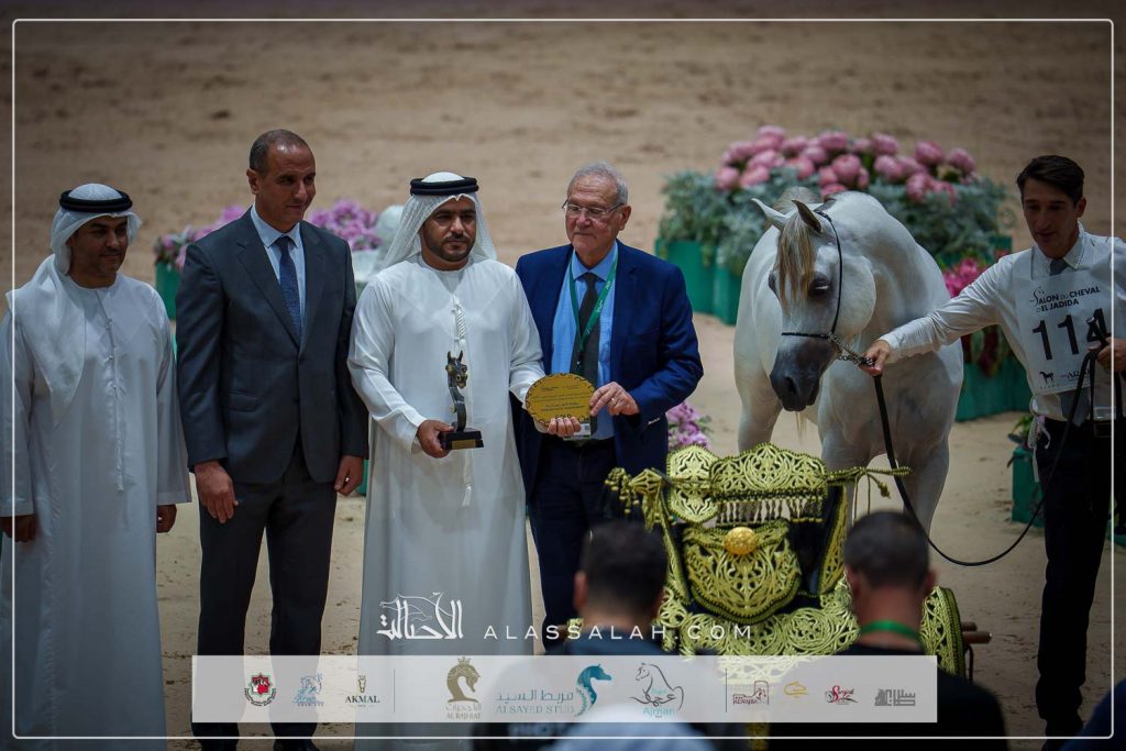 دي مزيون (دي فنان x دي الشهباء) مربط دبي – الإمارات.