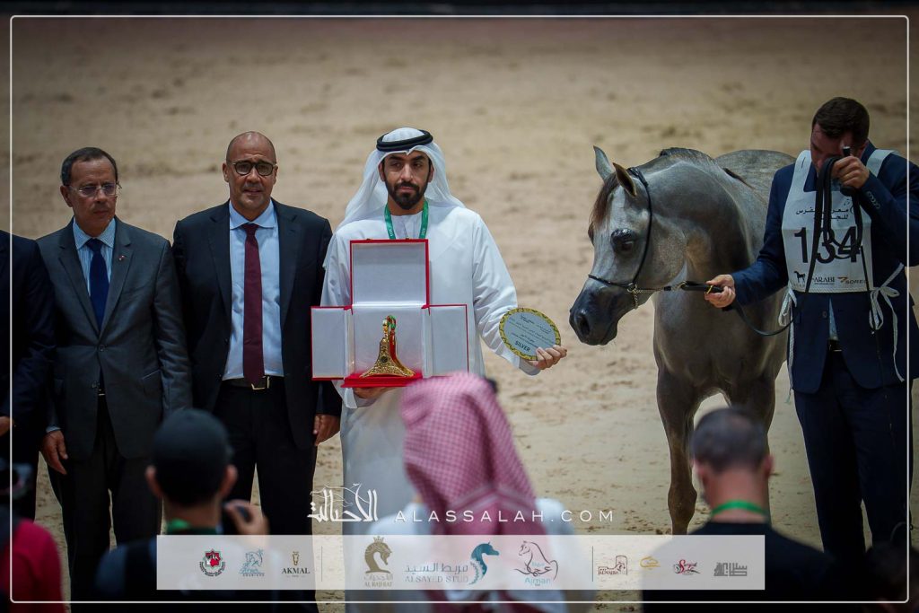 سيمنار البداير ( ع ج ردمان X ع ج سما) مربط الهيبة – الإمارات.