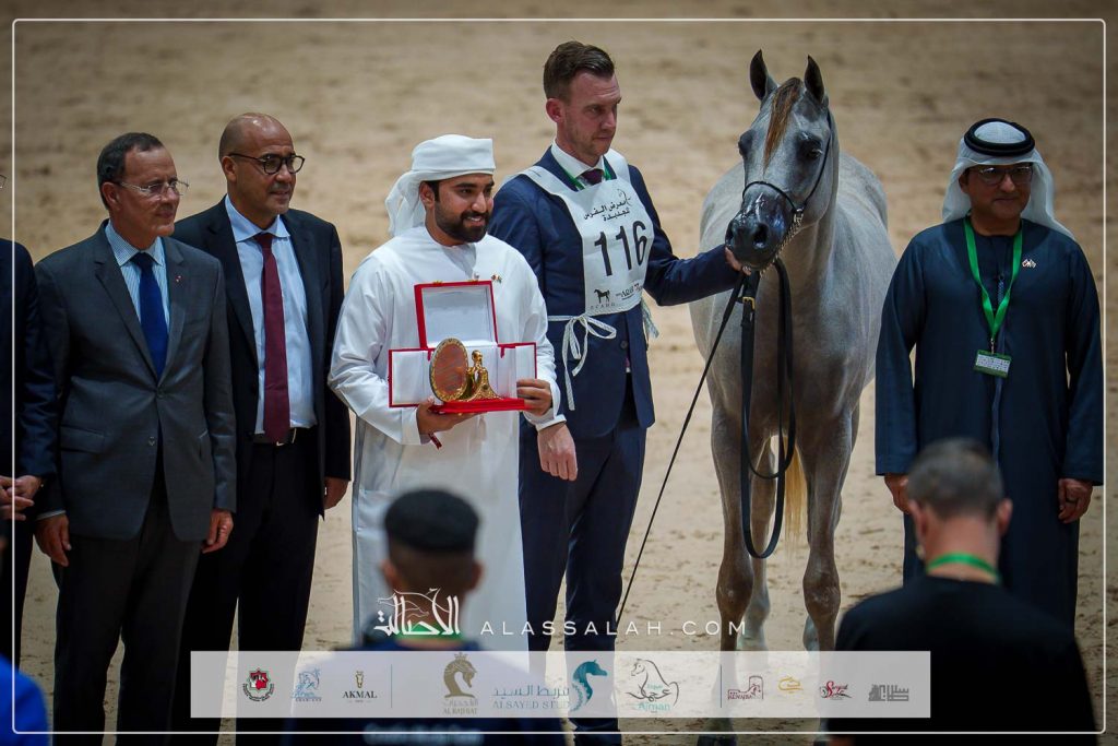 سيمنار البداير ( ع ج ردمان X ع ج سما) مربط الهيبة – الإمارات.