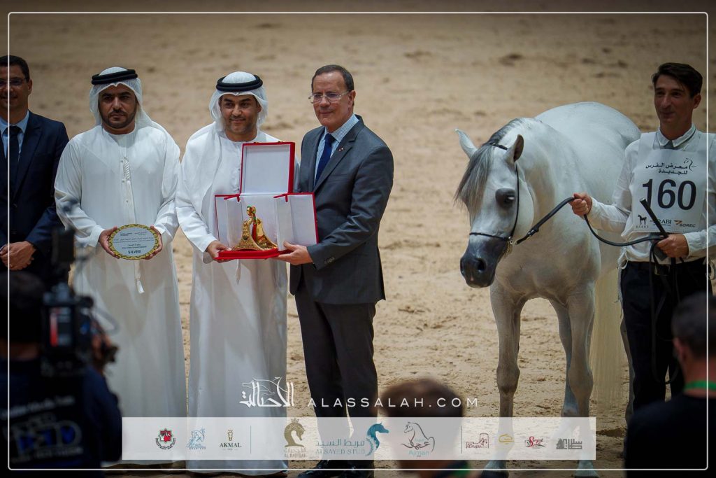 دي شرار ( دي سراج x اف تي شيلا) 92.50، مربط دبي –الإمارات.