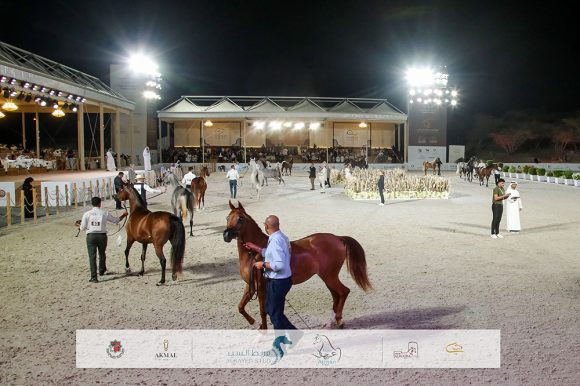 برعاية ولي عهد الفجيرة.. انطلاق النسخة العاشرة من بطولة الفجيرة الدولية للخيل العربي