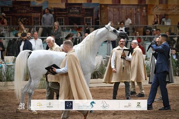 النتائج النهائية بالصور لجولة الجياد العربية – سكوتسديل  2026