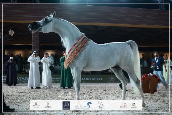 النتائج النهائية بالصور لجولة الجياد العربية – مسقط 2026