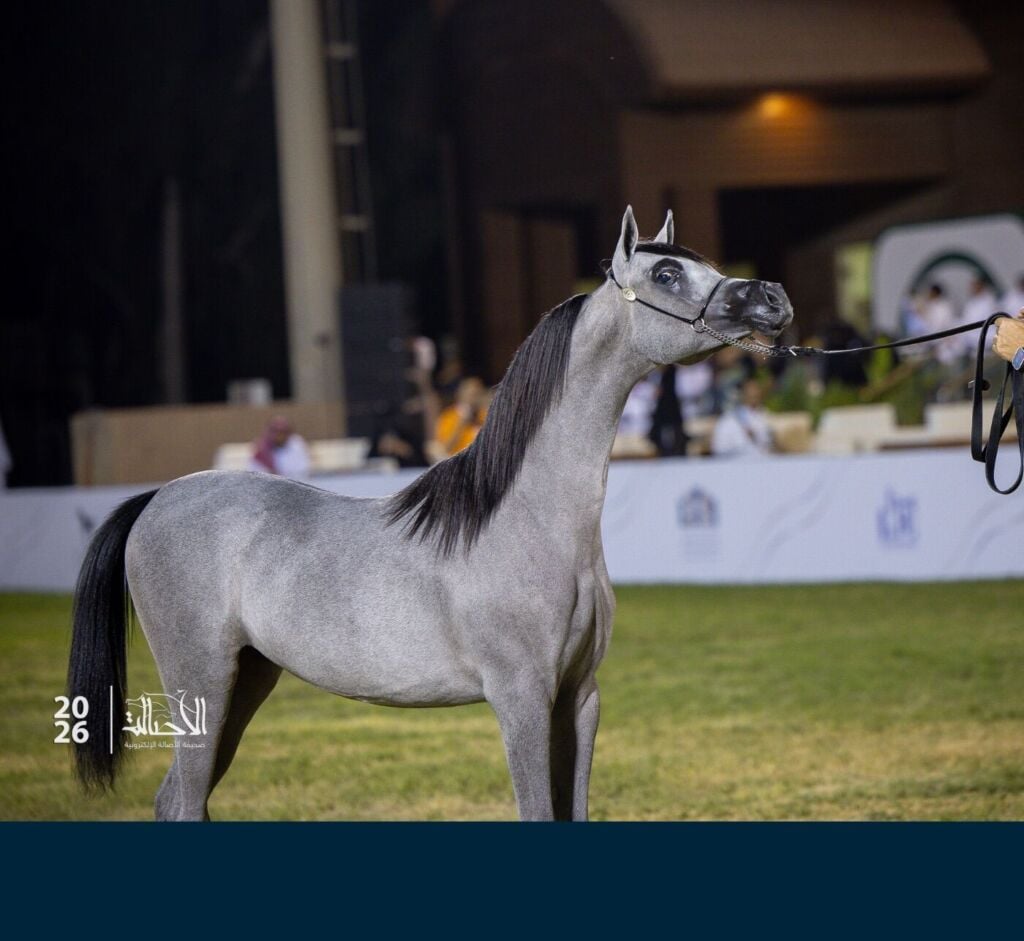 البرونز — العوجاء أجمل — ALAUJA AJMAL