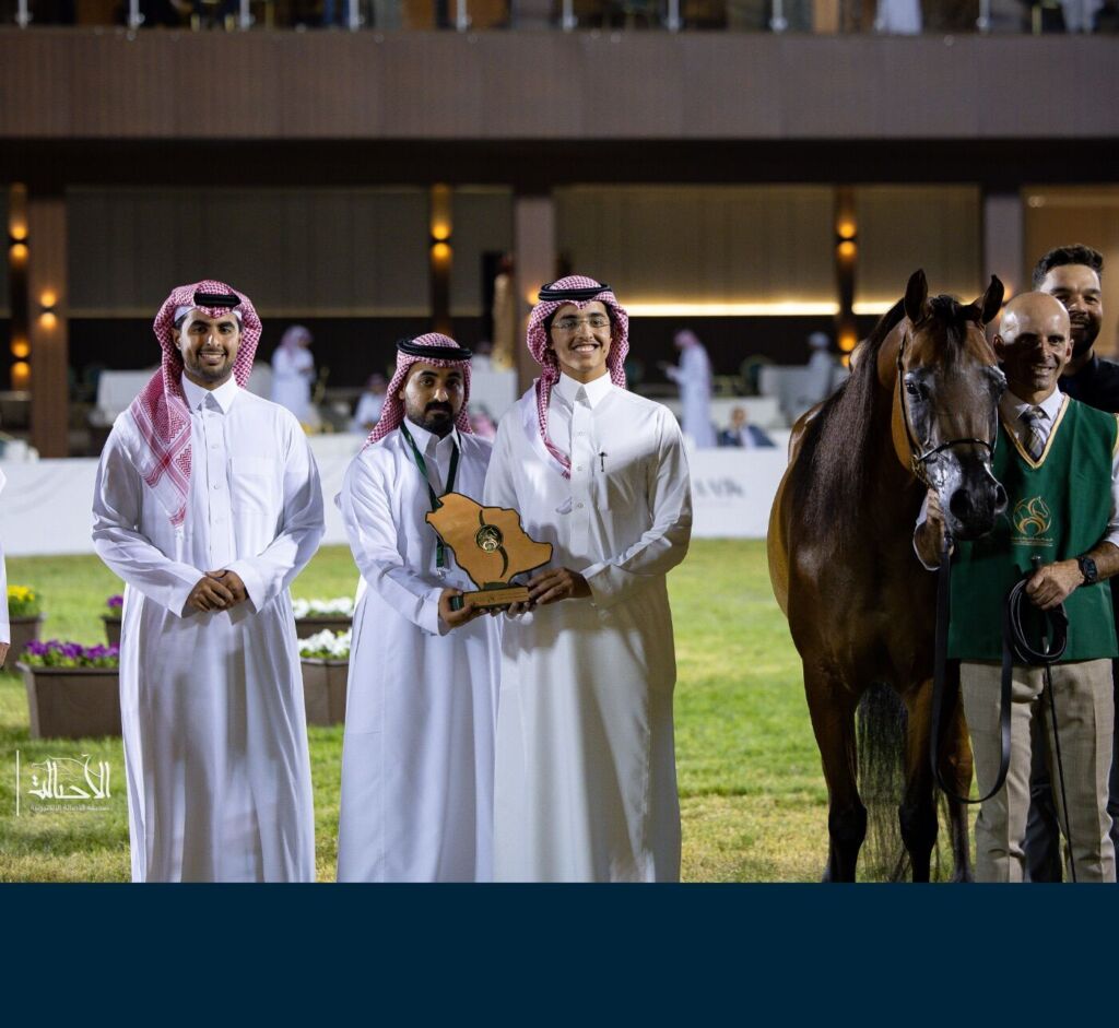 البرونز — دمشق السيد — DEMASHEQ ALSAYED