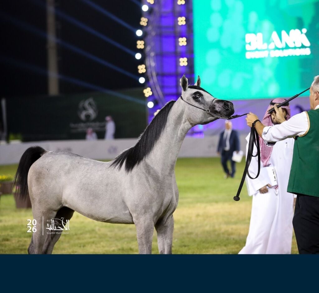 البرونز — هياب أجمل — HAYYAB AJMAL