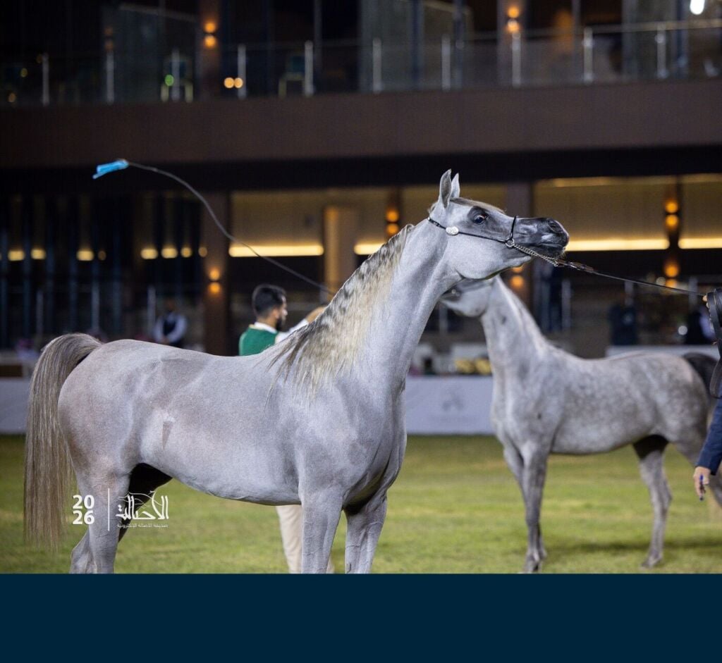 البرونز — ميرال الباشا — MIRAL ALBASHA