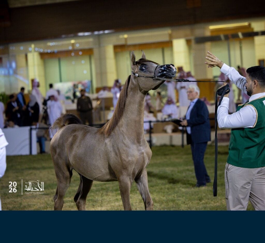الذهب — دي ايه شيخة — DA SHEIKHA