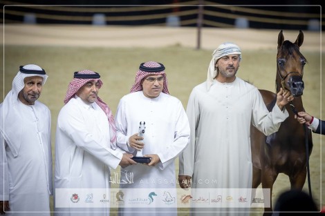 نتائج اليوم الأول لبطولة كتارا الدولية لعروض الخيل العربية “تايتل شو” 2024 – جولة الجياد العربية الدوحة