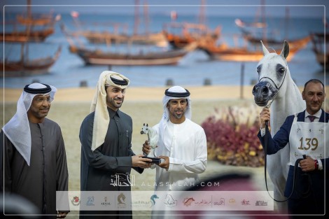 نتائج اليوم الثالث لبطولة كتارا الدولية لعروض الخيل العربية “تايتل شو” 2024 – جولة الجياد العربية الدوحة