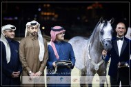 “باز الجاسمية” لمربط أكمل يحقق اللقب الفضي في بطولة كتارا الدولية لعروض الخيل العربية 2024 – جولة الجياد العربية الدوحة