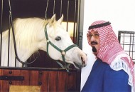 الملك يرعى العرض الوطني الرابع لجمال الخيل العربية