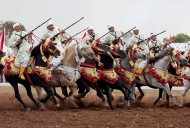 معرض الفرس في المغرب يستقطب أكثر من 100 عارض عالمي