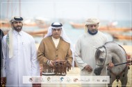 النتائج النهائية بالصور لبطولة كتارا للخيل العربية الجزيرية الأصيلة 2024