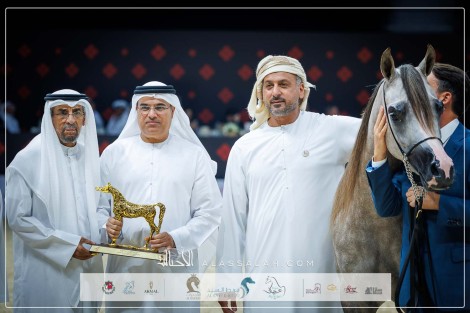 نتائج اليوم الأول لبطولة أبوظبي الدولية للخيل العربية 2024 – جولة الجياد العربية