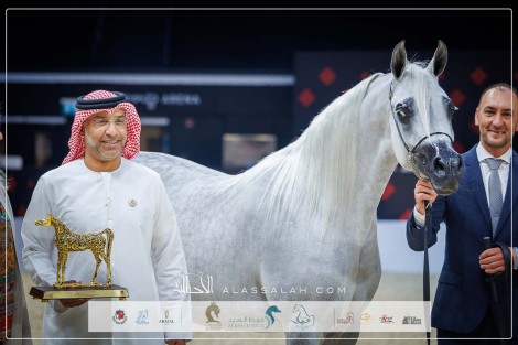 نتائج اليوم الثاني لبطولة أبوظبي الدولية للخيل العربية 2024 – جولة الجياد العربية